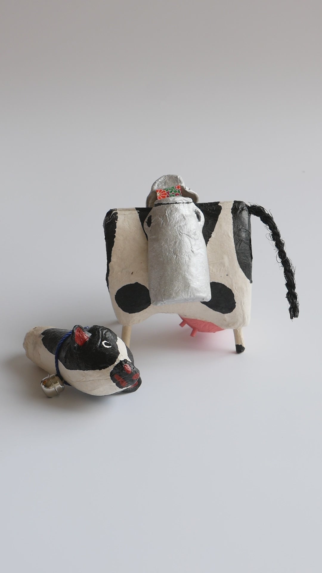 Chichi Beko Dairy Cow