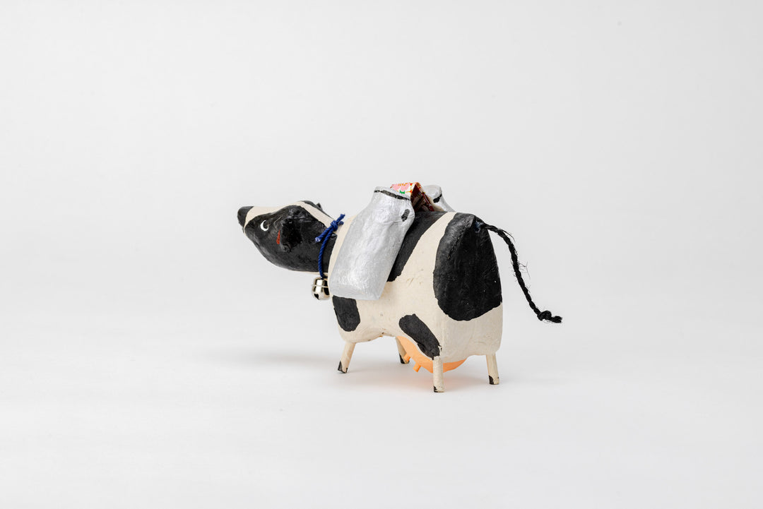 Chichi Beko Dairy Cow