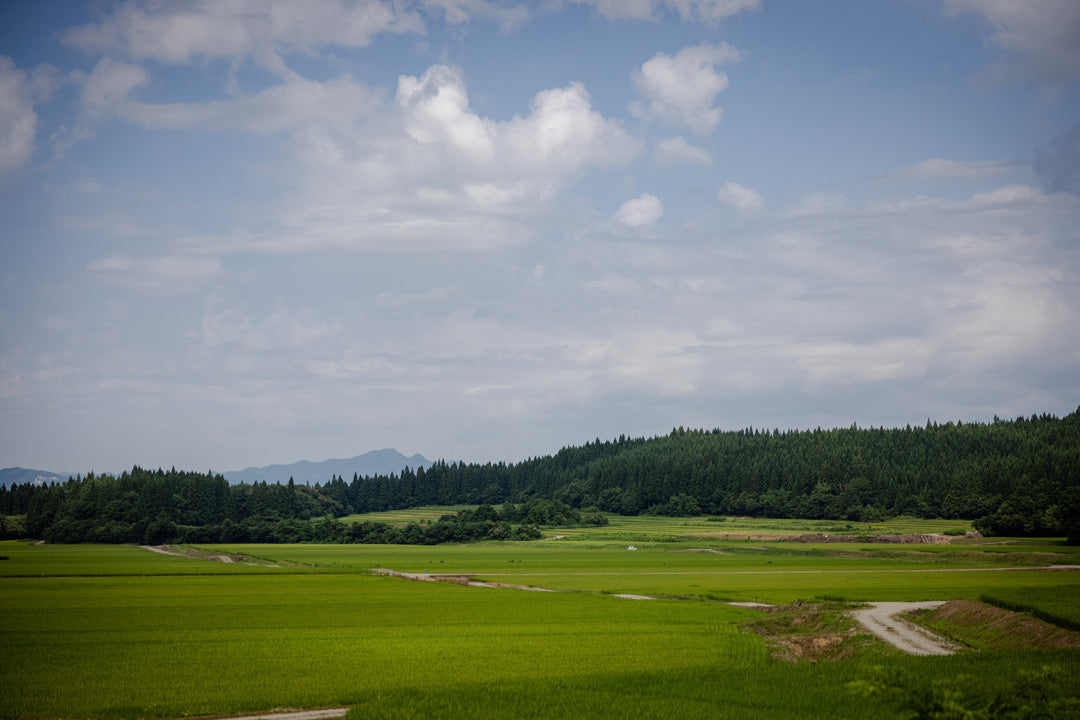 Shiraiwayaki Waheegama