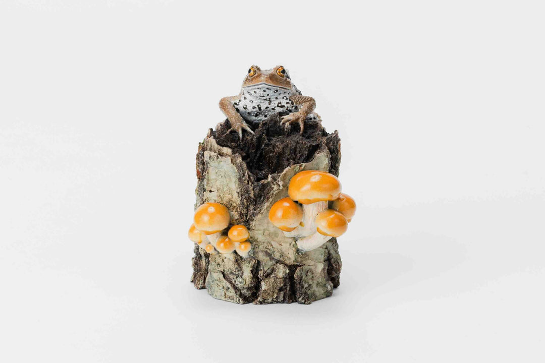 Toad and Nameko Mushroom Tree