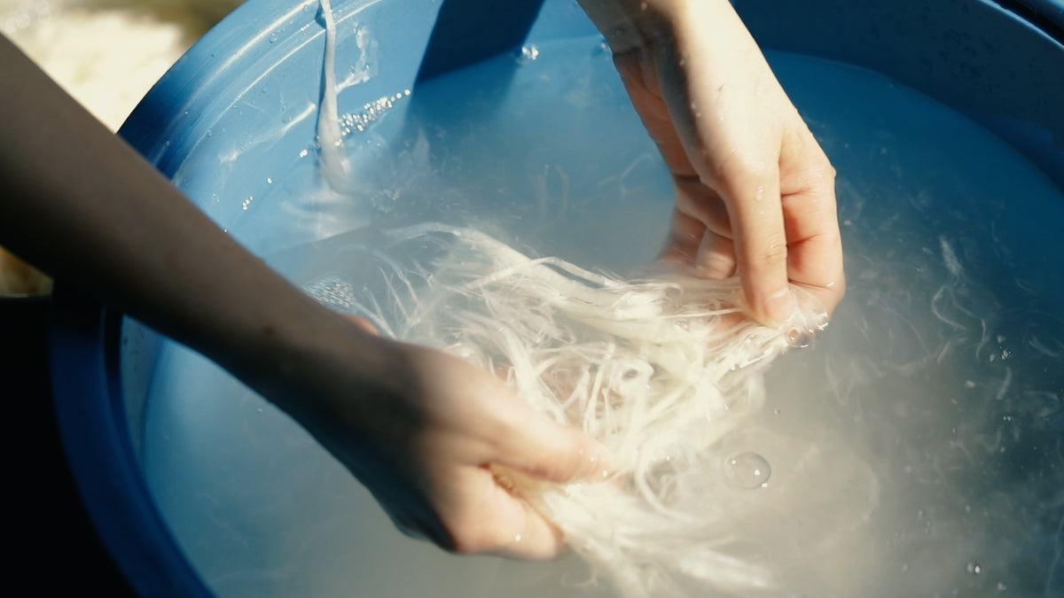 sajiwashi — image 4