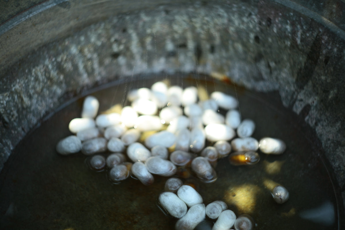 YUIKOUBOU + Yoshikatsu — image 2