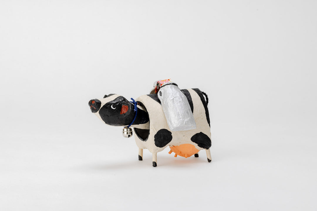 Chichi Beko Dairy Cow