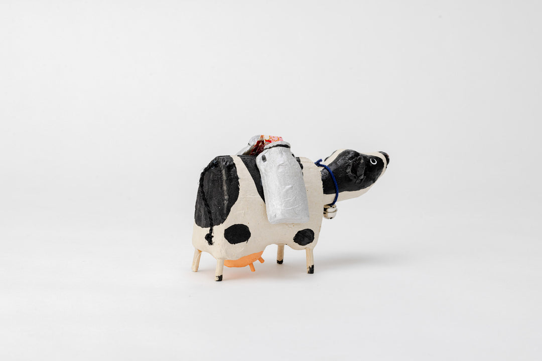 Chichi Beko Dairy Cow